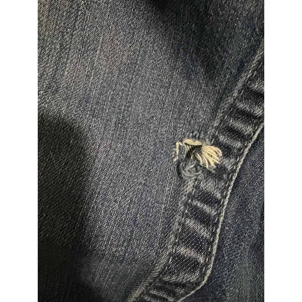 True Religion Jeans Mens 33 Made in USA Straight Leg Blue Denim Y2K